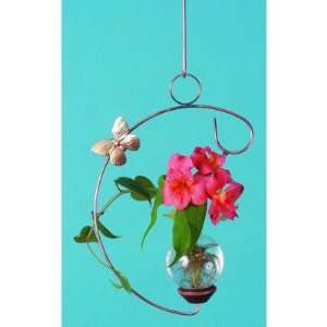  Hanging C Plant Rooter Patio, Lawn & Garden