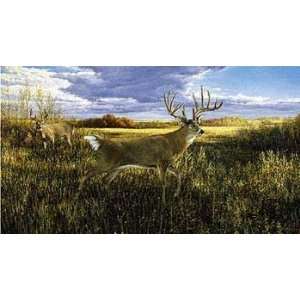  Ron Van Gilder   The Hanson Buck   Whitetail Deer: Home 