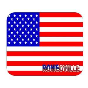  US Flag   Romeoville, Illinois (IL) Mouse Pad Everything 