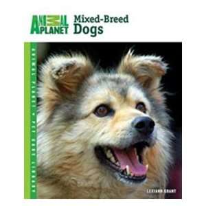  Animal Planet Mxd Breed Dogs