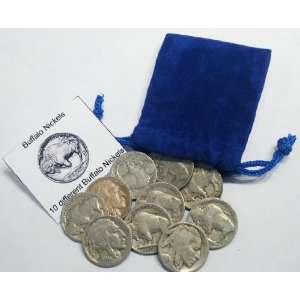  10 Buffalo Nickels in Gift Bag 