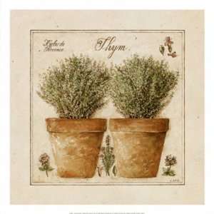  Herbes de Provence, Thym by David Laurence 13x13 Health 