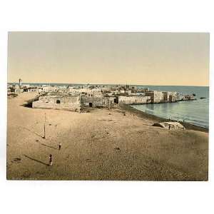 Photochrom Reprint of General view, Tyre, Holy Land, i.e., Lebanon