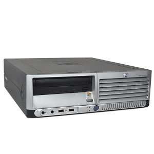   1GB 80GB CDRW/DVD No Operating System Small Form Factor: Electronics