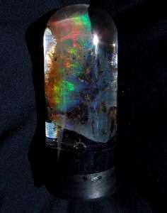 Virgin Valley NV Opal Specimen Bright Multi  Color WoW  