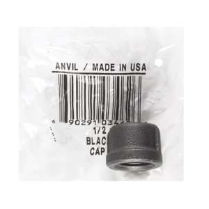  ANVIL INTERNATIONAL 8700132205 CAP (Pack of 5)