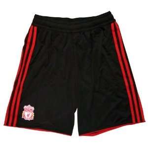  Liverpool Boys Away Soccer Shorts 2010 11: Sports 