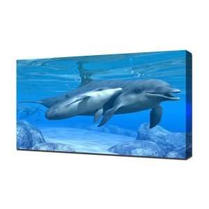 Mother And Baby Dolphin   Canvas Art   Framed Size 40x60 