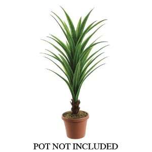  48 Dracaena Plant w/34 Lvs. Green (Pack of 4): Home 