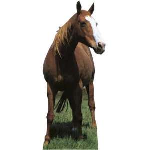  Mustang   Wildlife/Animal Lifesize Cardboard Cutout 