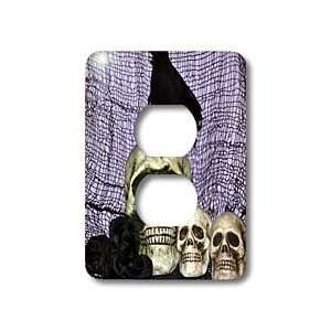   Raven on top of skull   Light Switch Covers   2 plug outlet cover