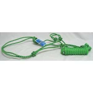  Econo Rope Halter with / Lead