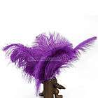 purple ostrich feathers  