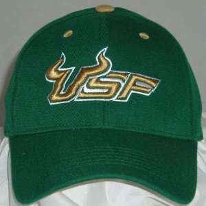 South Florida Bulls One Fit NCAA Wool Flex Cap (Team Color):  