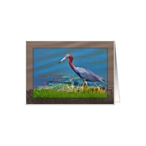  Birthday, 85th, Little Blue Heron Bird Card Toys & Games