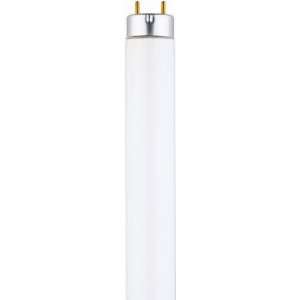 Westinghouse Lighting Corp 15W Cw Mini Fluo Tube (Pack Fluorescent 