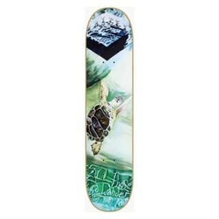  Consolidated Bailey Turtle Deck  8.0