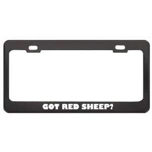 Red Sheep? Animals Pets Black Metal License Plate Frame Holder Border 