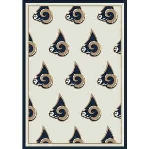  St Louis Rams Team Rugs: Home & Kitchen