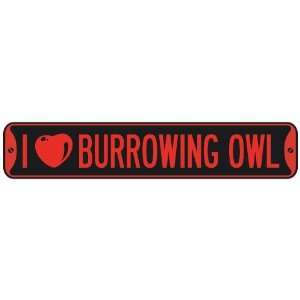   I LOVE BURROWING OWL  STREET SIGN