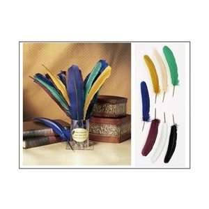    Turkey Feather Quill Pen with nib to dip into ink
