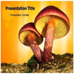  Mushroom Powerpoint Templates   Mushroom Powerpoint (PPT 
