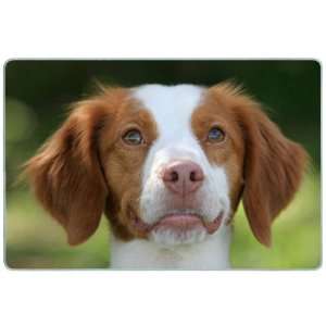 Brittany Spaniel Cutting Board 