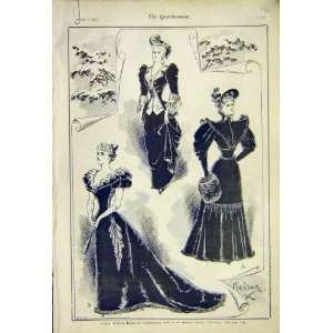  Costume Designes Gowns Ladies Fashion Velveteen 1892