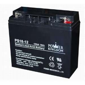  12 Volt 18 Ah   Sealed Lead Acid Battery: Electronics