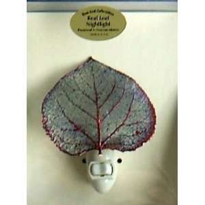  Real Aspen Leaf in Iridescent copper Night Lights: Home 