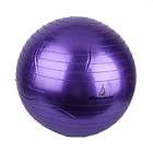 65cm Yoga Ball Pilates Excercise Yoga Body Balance Ball Pump Purple