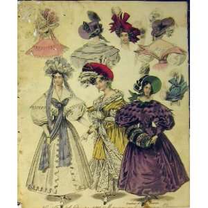  Womens Fashion Evening Dresses Hats Countess Belfast: Home 