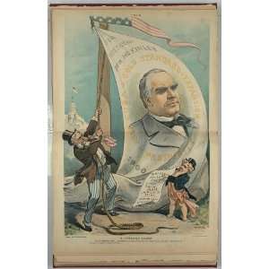  Two edged record,Republican Party,McKinley,gold standard,expansion 
