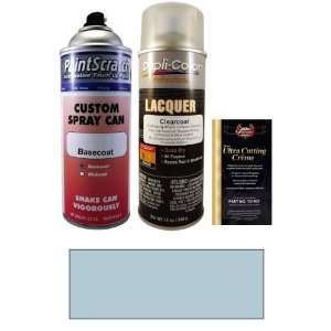   Paint Kit for 1966 Chevrolet All Other Models (DD (1966)): Automotive