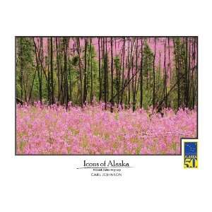  Icons of Alaska Flowers Print
