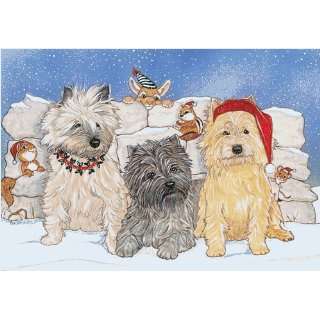   Productions C933 Holiday Boxed Cards  Cairn Terrier: Home & Kitchen