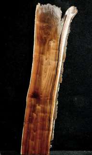   Walnut Marble Fiddleback Figured Rustic Mantle Lumber Slab 1097  