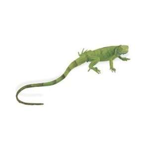  Safari Incredible Creatures   Iguana Baby Toys & Games