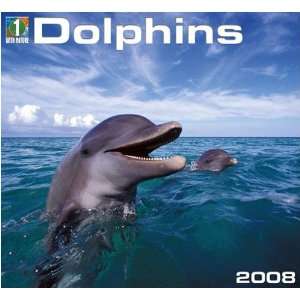  Dolphins 2008 Wall Calendar