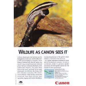    Print Ad 2001 Canon Wildlife as Canon sees it. Canon Books