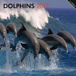  Dolphins 2012 Wall Calendar 12 X 12
