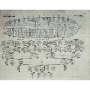  Encyclopaedia Britannica 1801 Ship Deck Family Tree