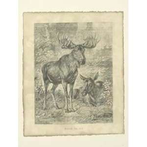 Vintage Moose Or Elk by Friedrich Specht 16x20  Kitchen 