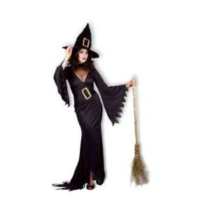   Ladies Halloween Costumes  Witch Fancy Dress Costume: Toys & Games