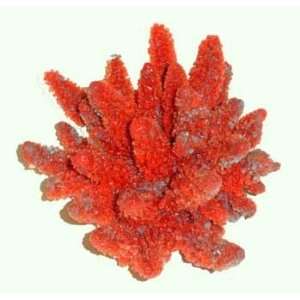  Red Sea Deco Art Resin Ornament Large Acropora Red Pet 