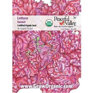  Organic Lettuce Seed Pack, Sunset Patio, Lawn & Garden