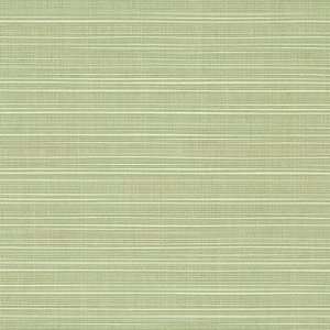   Dupione Aloe #8068 Indoor / Outdoor Upholstery Fabric: Everything Else