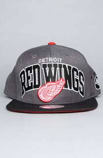 Mitchell & Ness The Detroit Red Wings Arch Logo G2 Snapback Hat in 