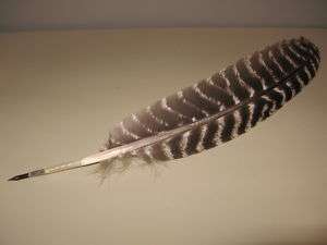 Turkey Wing Quill Feather Dip Ink Pen 14 Inch New  