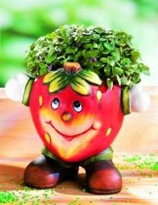 lustiger Übertopf, Erdbeere mit Gesicht, 11cm, neu  